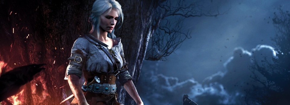 No Witcher 4 Doesn't Mean the End of the Games