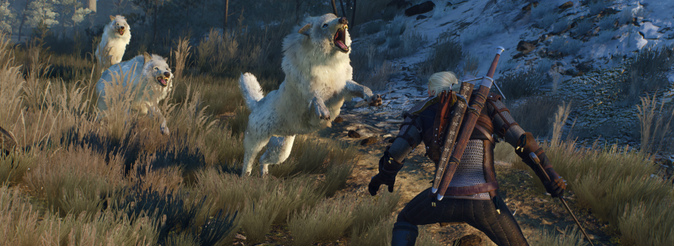 Witcher 3's Last Free DLC Will be New Game +