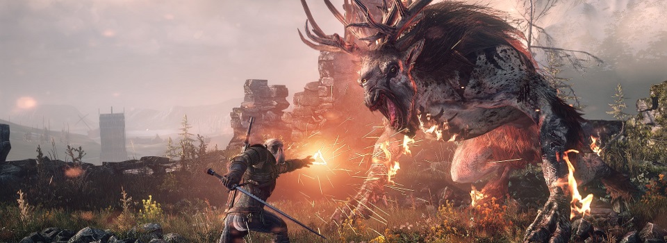 The Witcher 3: Wild Hunt Will Have 16 DLC Packs