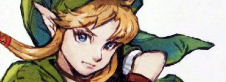 Gender-Swapped Link Appears in Hyrule Warriors Legends