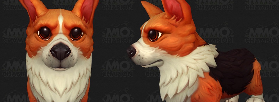 There are Corgis in WoW Now