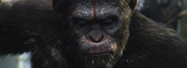 Chimps vs. Humans: A Cognitive Game Study Released