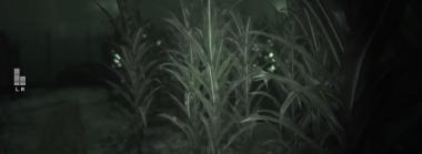 Outlast II Gameplay Trailer Reveals Cornfield Setting